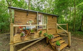 Woodland Retreat Shepherds Hut